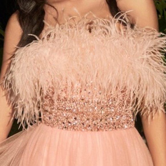 BLUSH PROM PARTY EVENING A-LINE FORMAL STRAPLESS FEATHER BALL GOWN CDCR864 - Picture 5 of 7